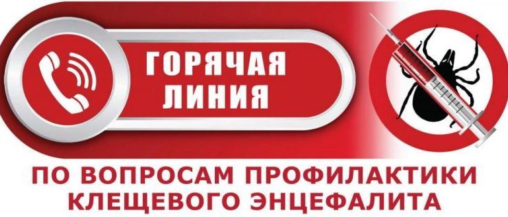 О работе «горячей линии» по профилактике КВЭ. О работе «горячей линии» по профилактике КВЭ.